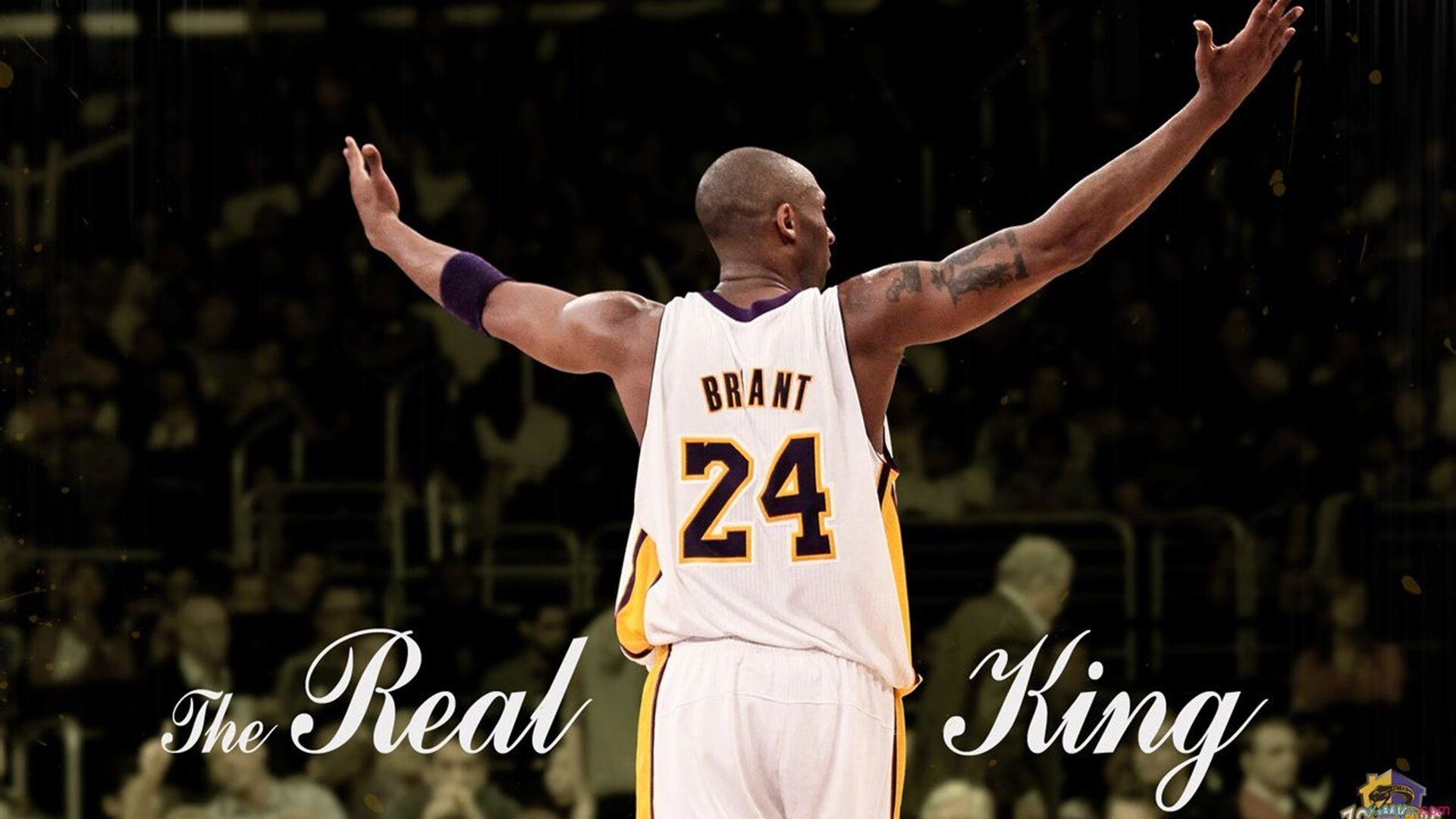 世界杯2026-贝恩的F1街道狂想曲，当篮球雷霆节奏接管赛车生死时速