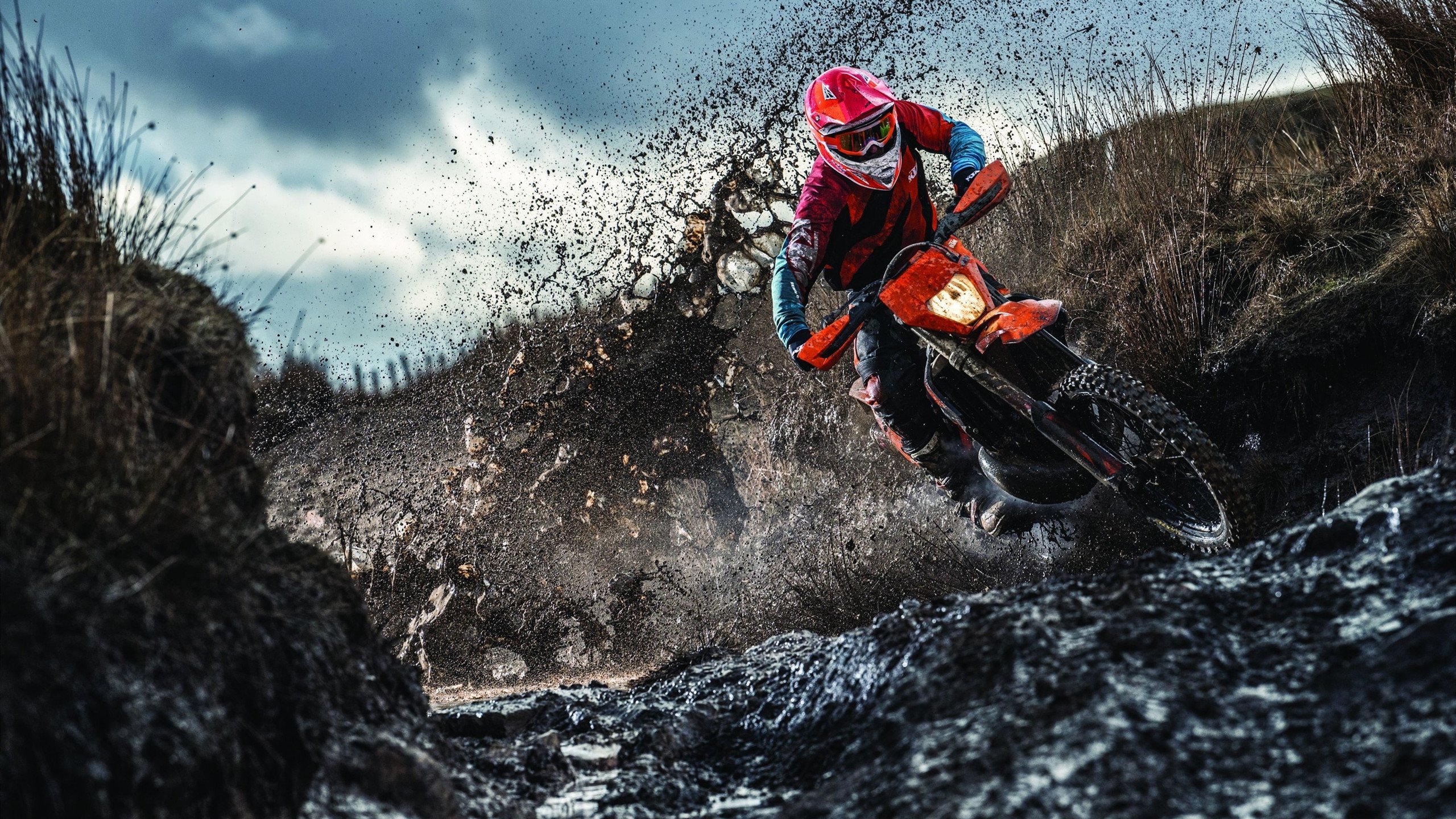 西亚卡姆化身无解战神，尼克斯窒息时刻绝杀辽宁